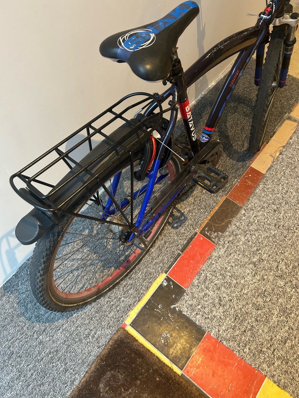 Batavus snake 26 inch