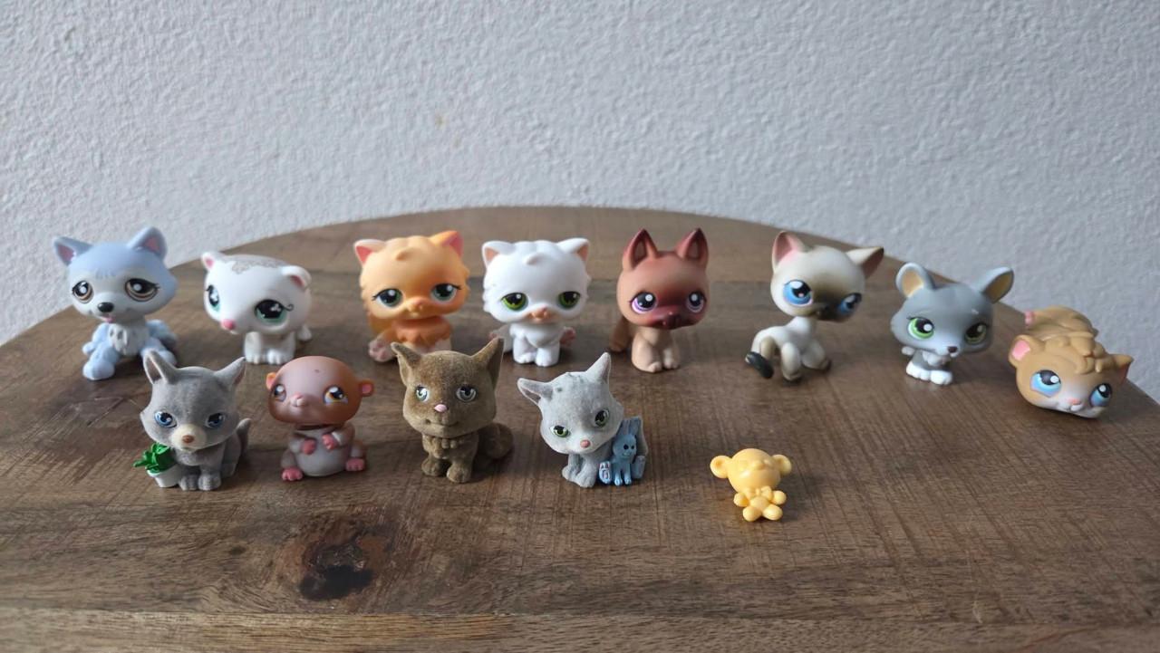 🎈Little Pet Shop Pakket. zie alle foto's voor volledig pakket