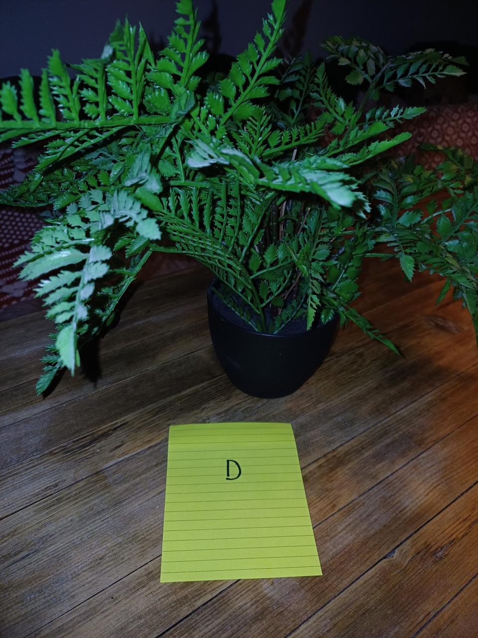 Kunstplanten