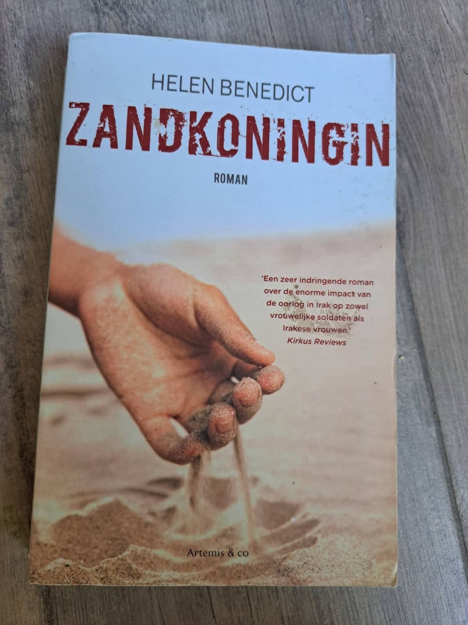 Roman Zandkoningin van Helen Benedict