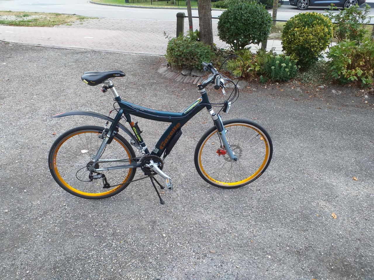 """GAZELLE IMPULS"" Y "" FRAME SPECIAAL GAZELLE DESIGN""""
