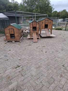 20 % KORTING OP CUCCIOLOTTA KIPPENHOKKEN +REN