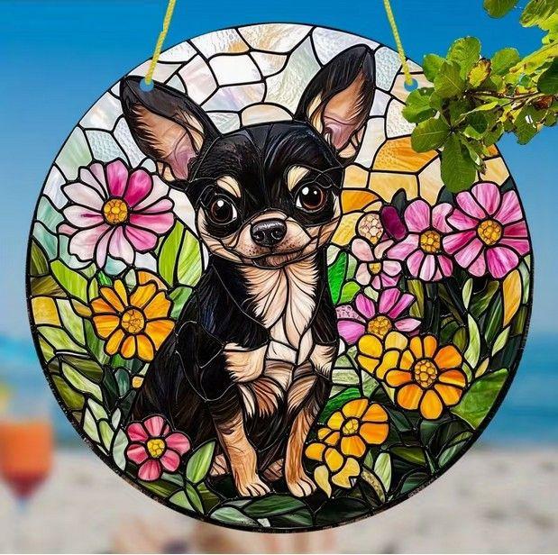 Raamhanger Chihauhau ( chiwawa )