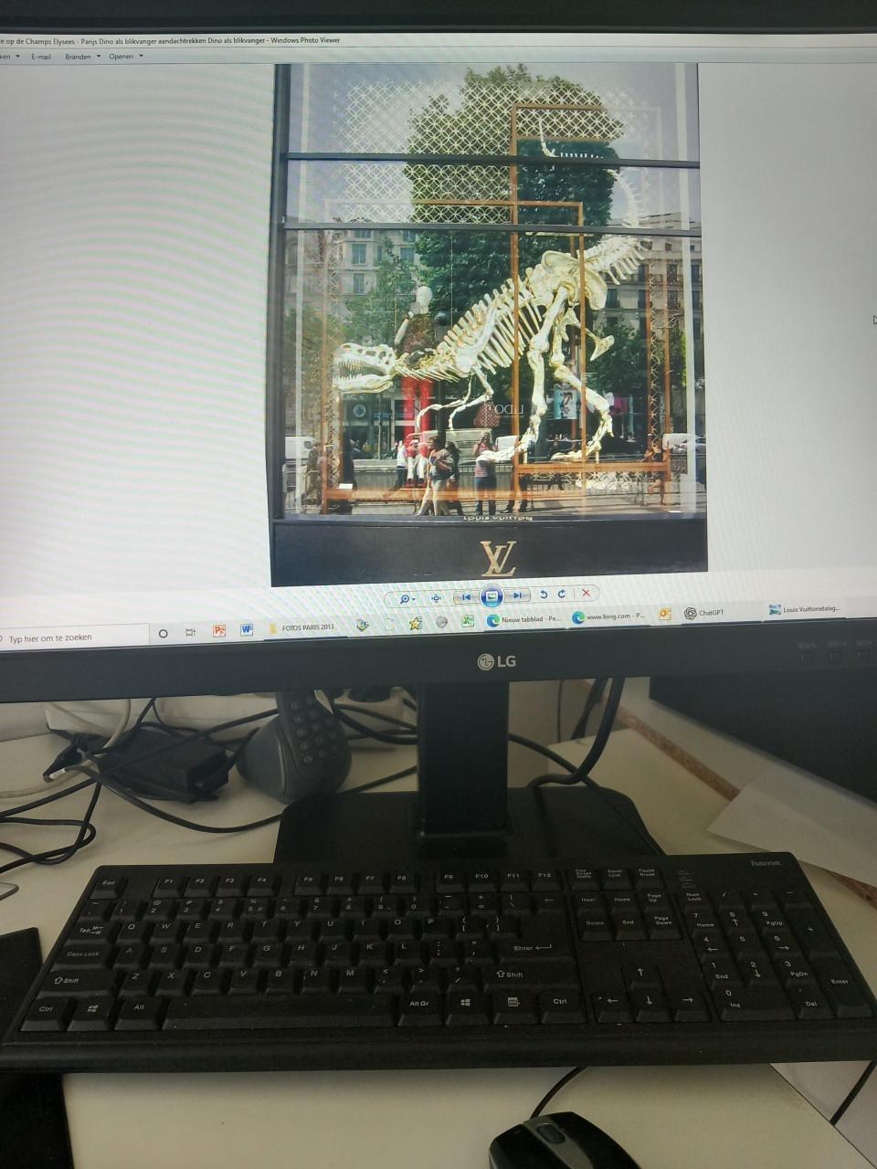 Computerscherm LENOVO