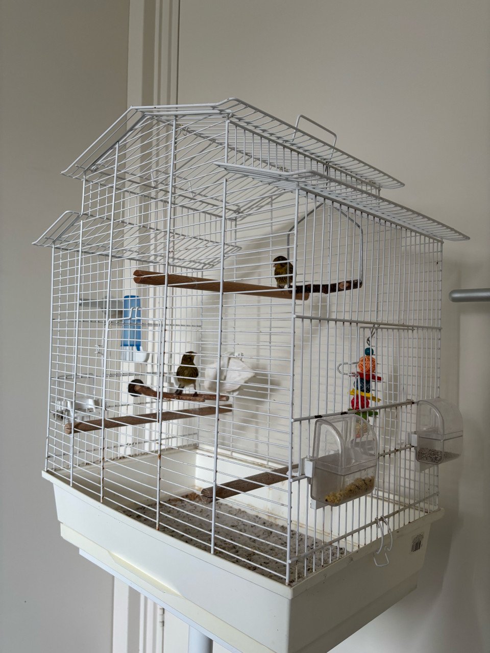 Mooie vogelkooi - Compleet met accessoires en standaard