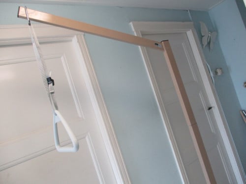 Te koop BED papegaai