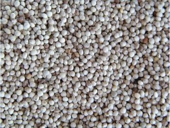 Ruime keuze enkelvoudige zaden