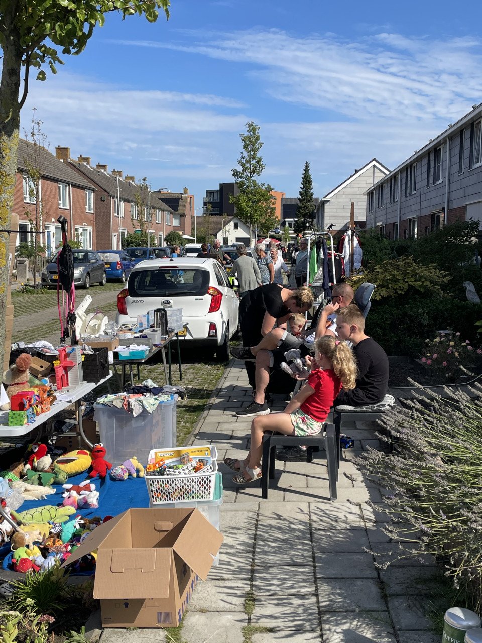 6 Sept - + 200 deelnemers Mega rommelroute Wemeldinge + ringsteken