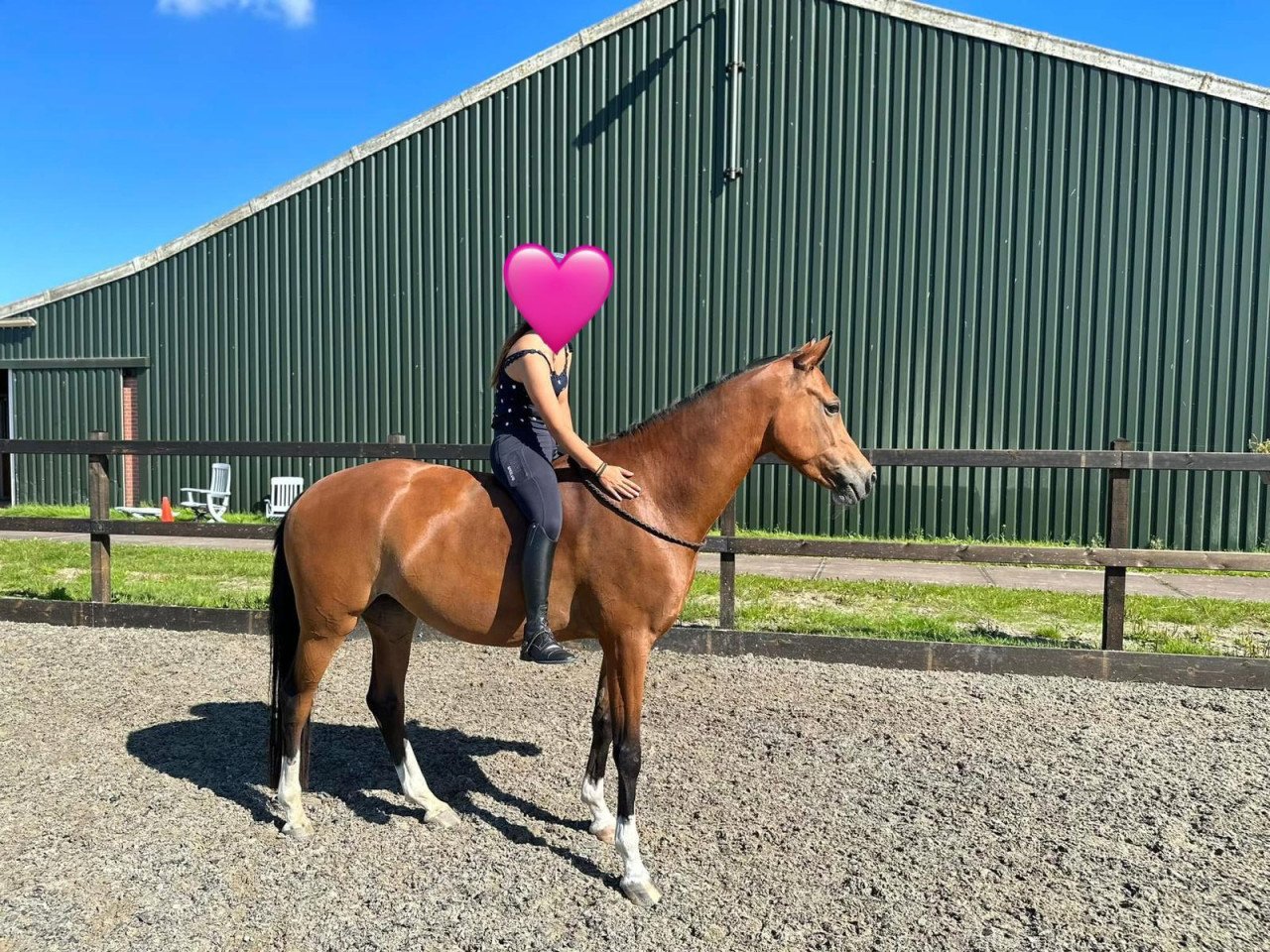 Knappe en lieve welshmerrie