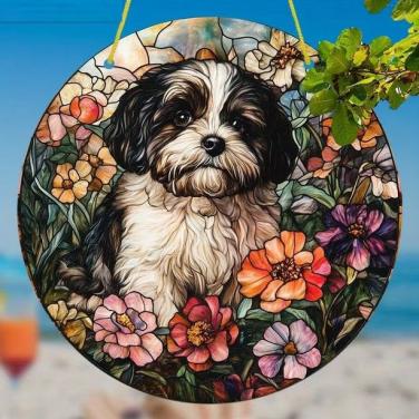 Raamhanger boomer - shih tzu