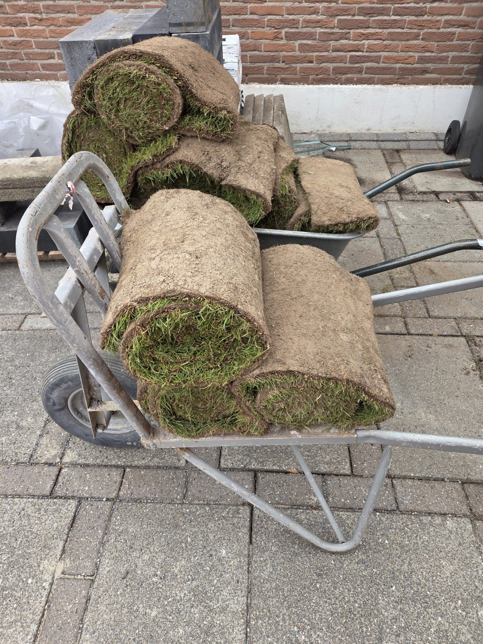 Grasmatten