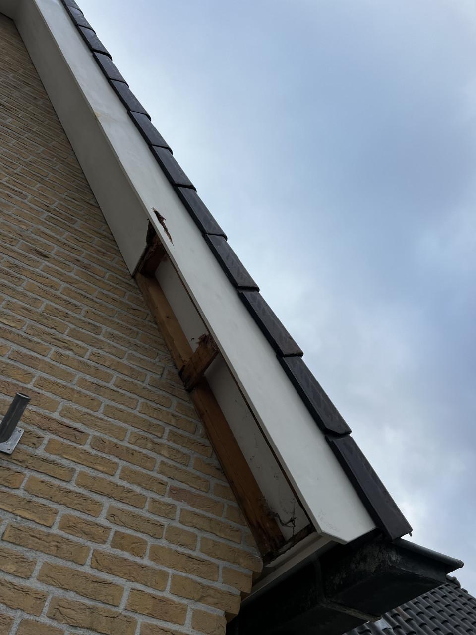 Hout rot sanering/ timmerwerk