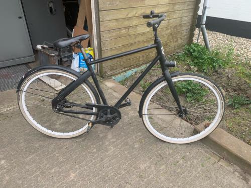 Cortina blau. zwart 53 cm opknapper