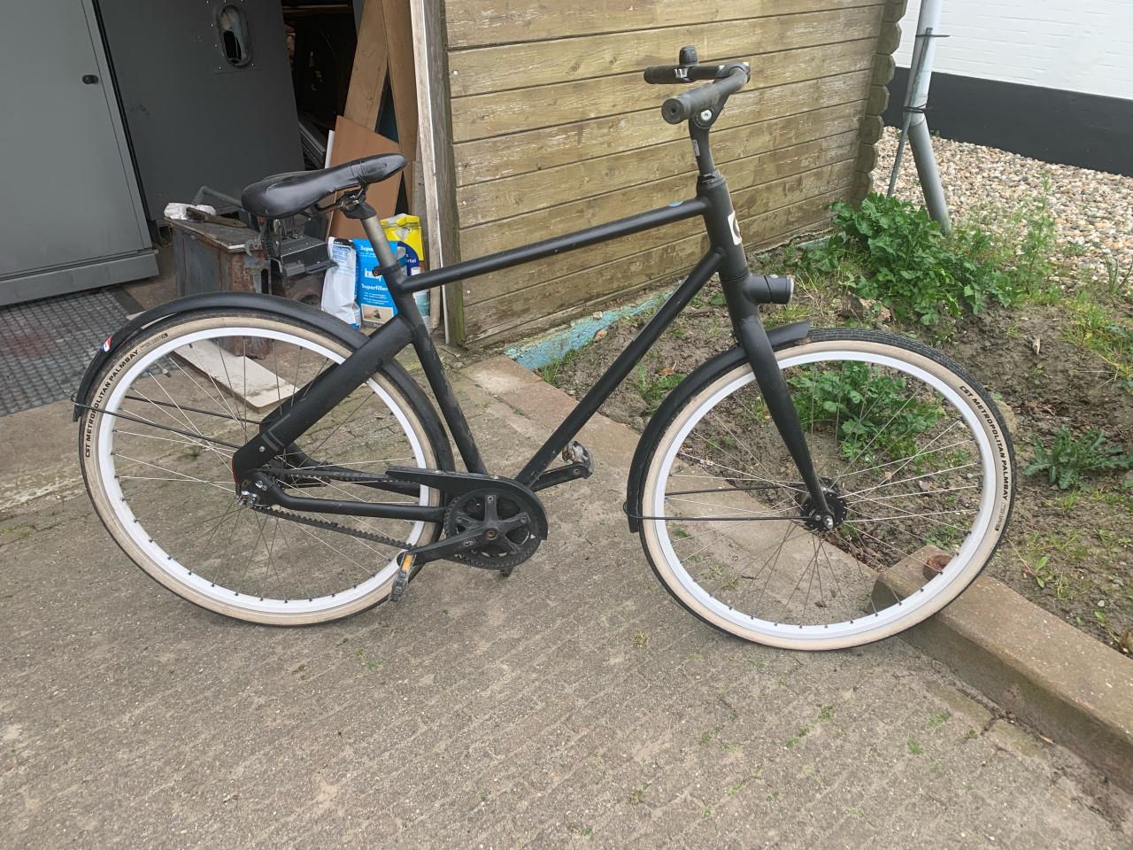 Cortina blau. zwart 53 cm opknapper