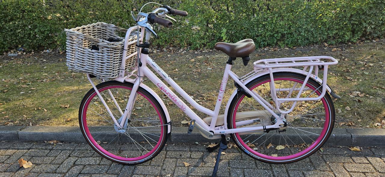 Gazelle Miss Grace Unieke Roze damesfiets