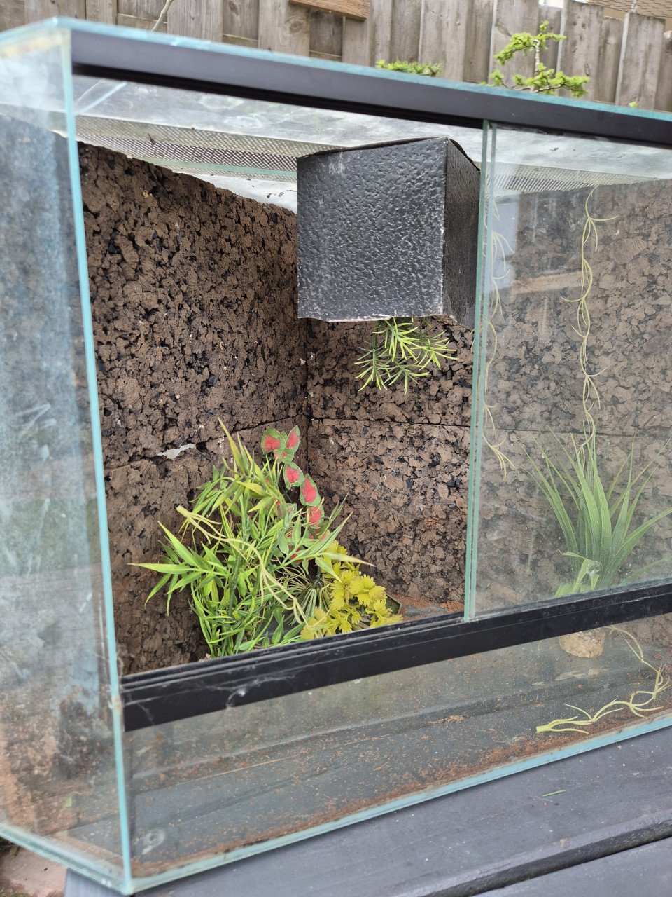 Hoek terrarium.