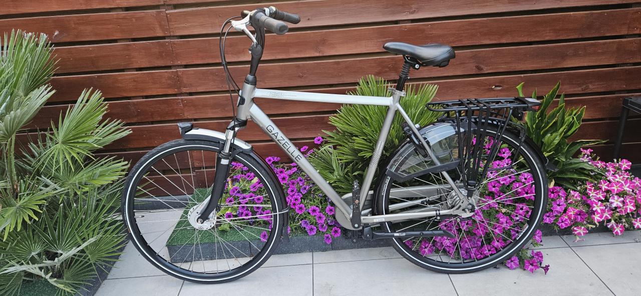 Gazelle Paris C7+ Herenfiets