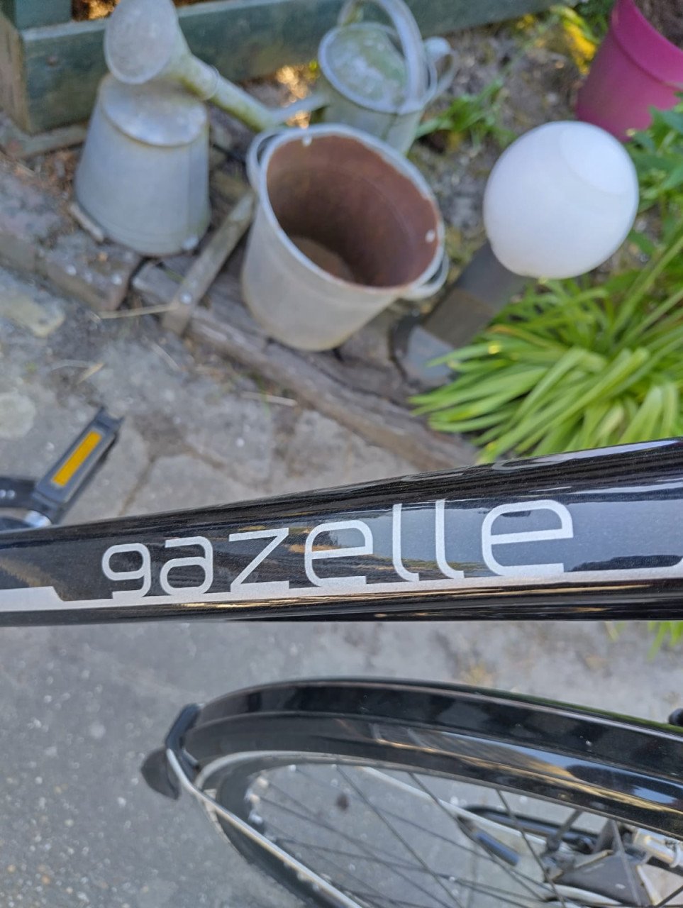 Zeer nette gazelle eclipse trekking
