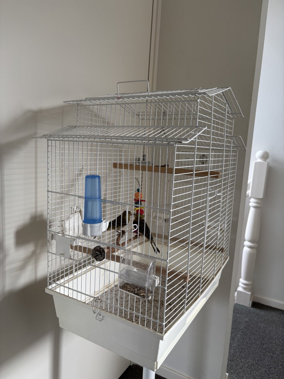 Complete vogelkooi - Met standaard