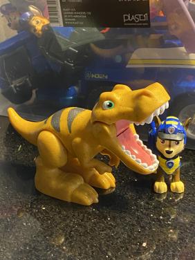 Paw Patrol chase en tyrannosaurus rex dino rescue