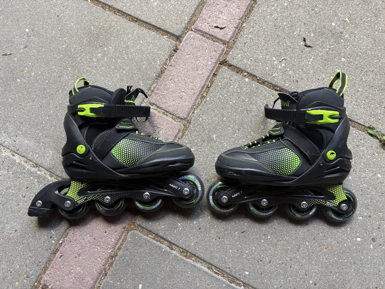 Skeelers