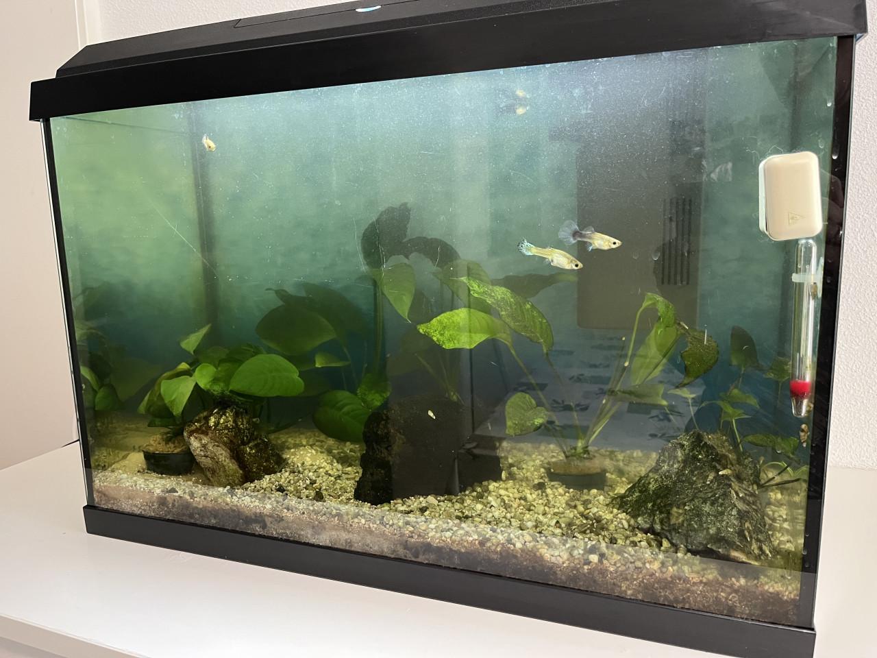 Aquarium