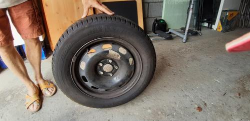 Michelin Alpine A4 Winterbanden op velg met standaard en hoes