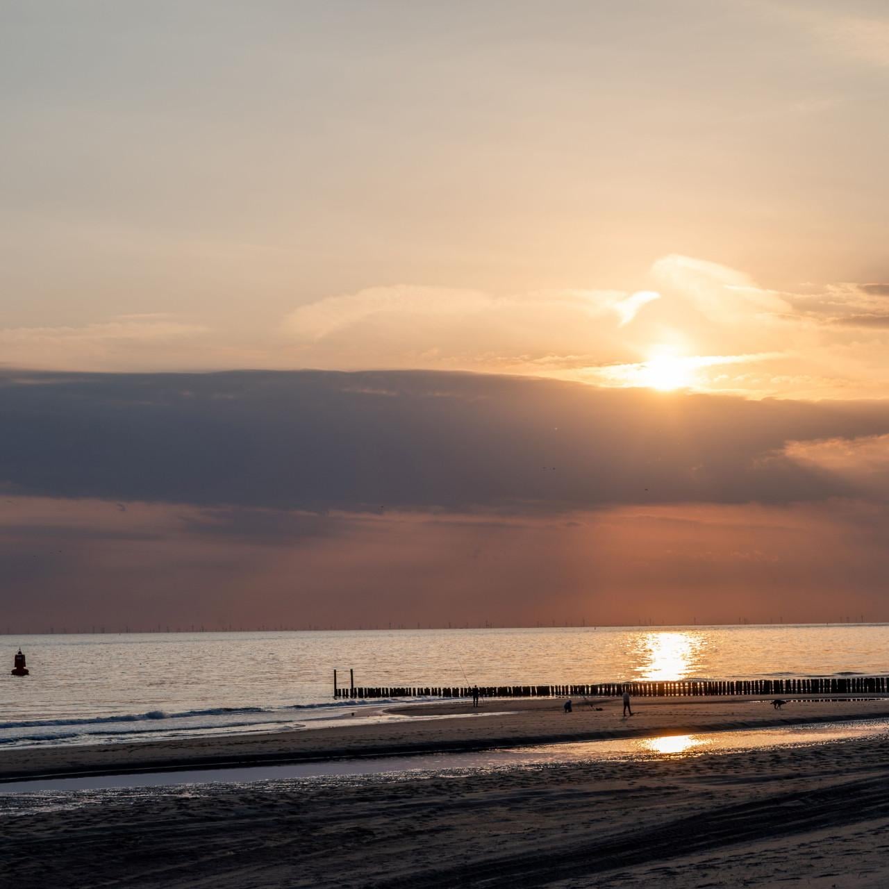 Strandhuisje Dishoek te huur