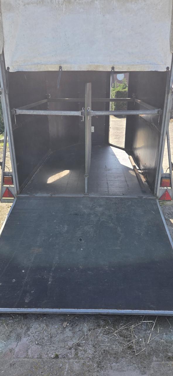 2 paards trailer