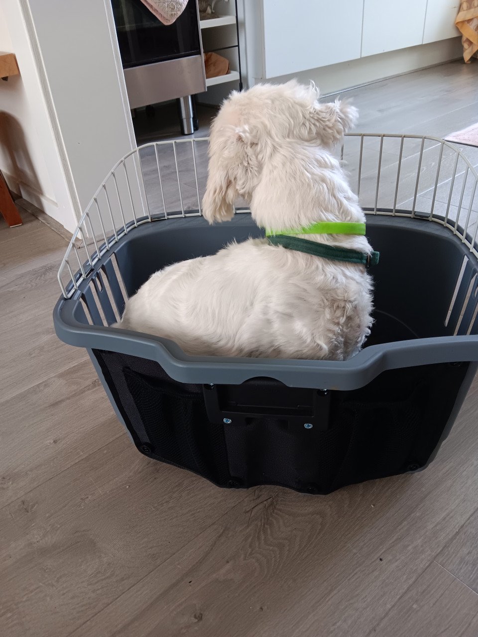 Te koop Hondenfietsmand voor