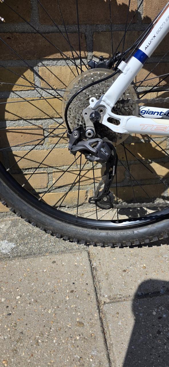 Giant terrago team rabobank editie