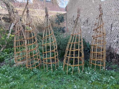 Wilgentenen klimspiraal