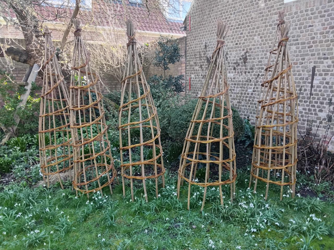 Wilgentenen klimspiraal