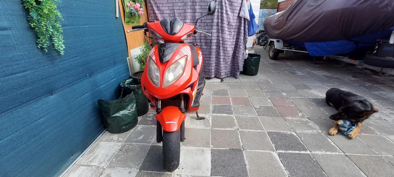 Nooit in de steek gelaten