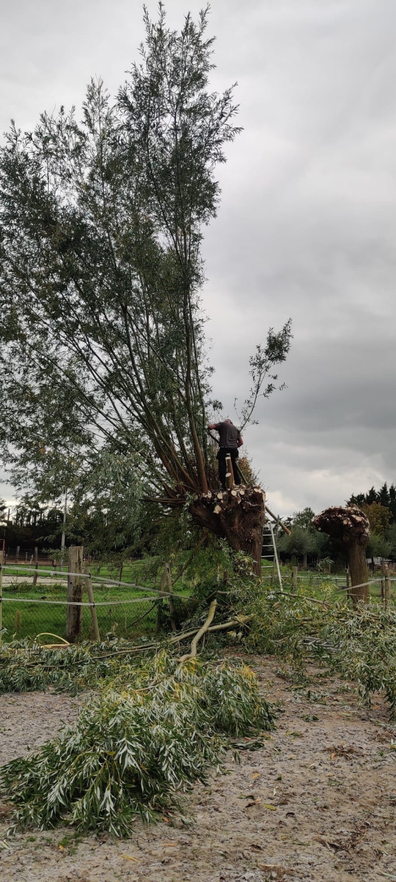 Tuinwerkzaamheden
