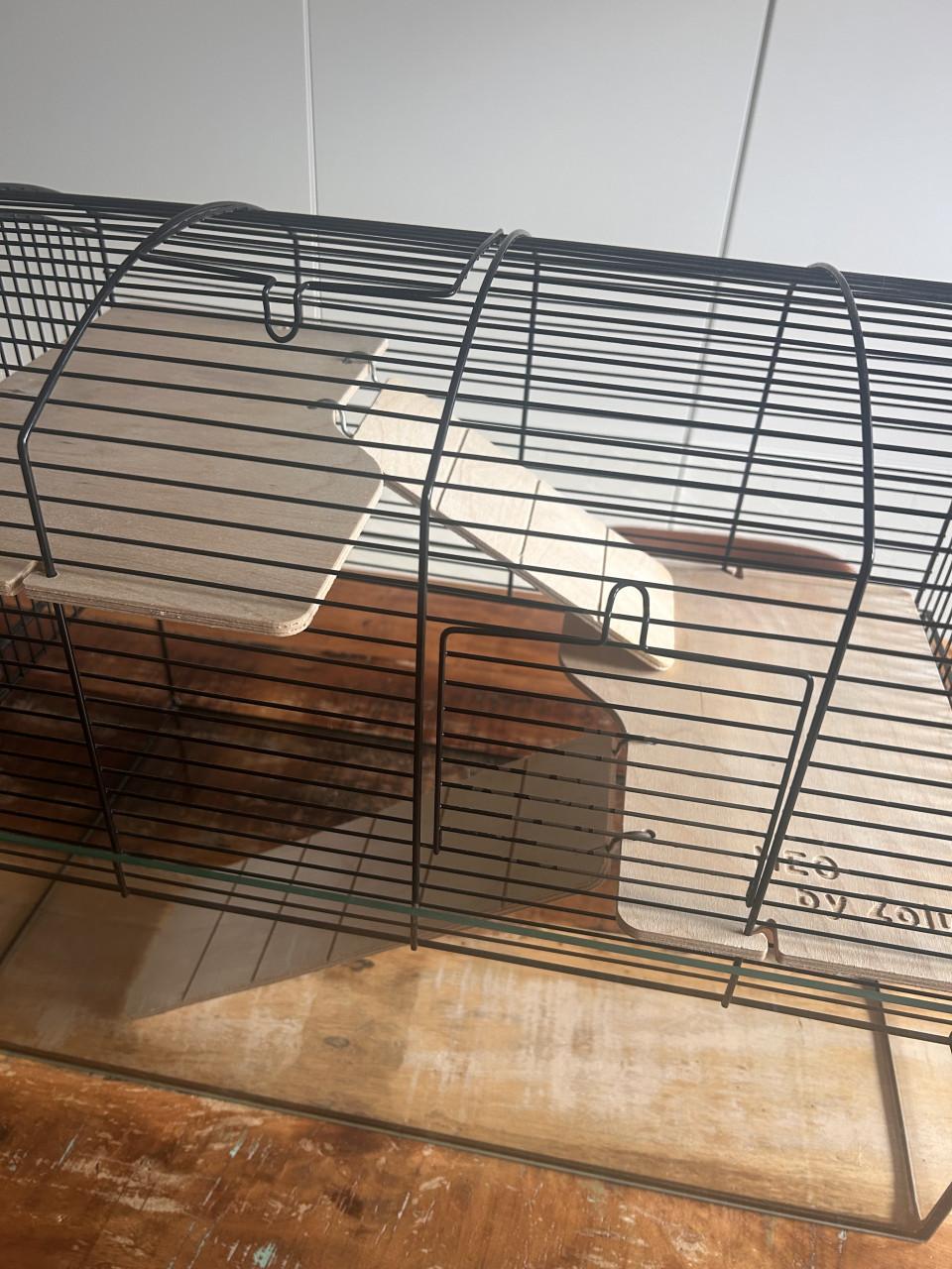 Mooi, glazen hok voor knaagdieren