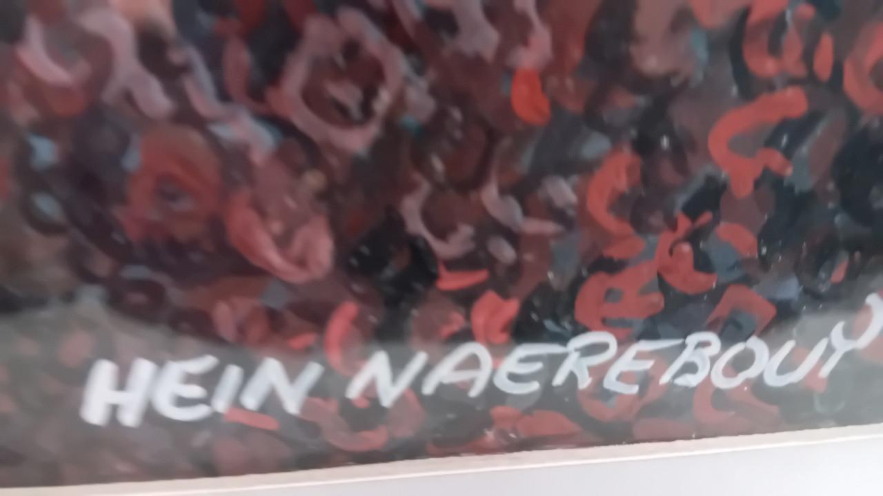 Werk van Hein naerebout