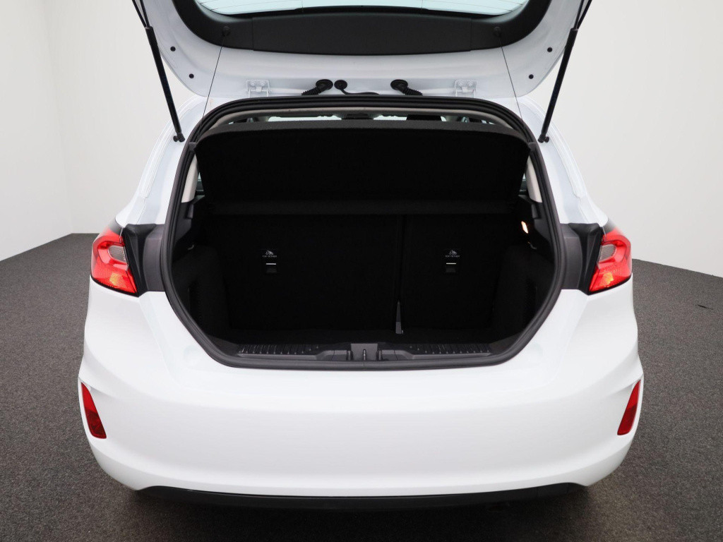 Ford Fiesta 1.0 ecoboost connected | apple carplay / android auto | cruise 