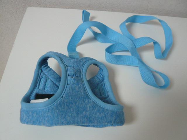 Z.G.A.N. HONDENTUIGJE MET LOOPLIJN MT S