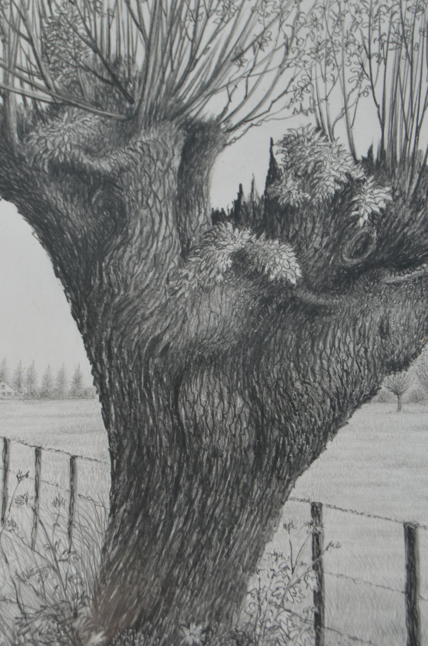 10 x Hendrik Voskuijl (1893 - 1980) potloodtek. bomen (3) o.a. Ommen