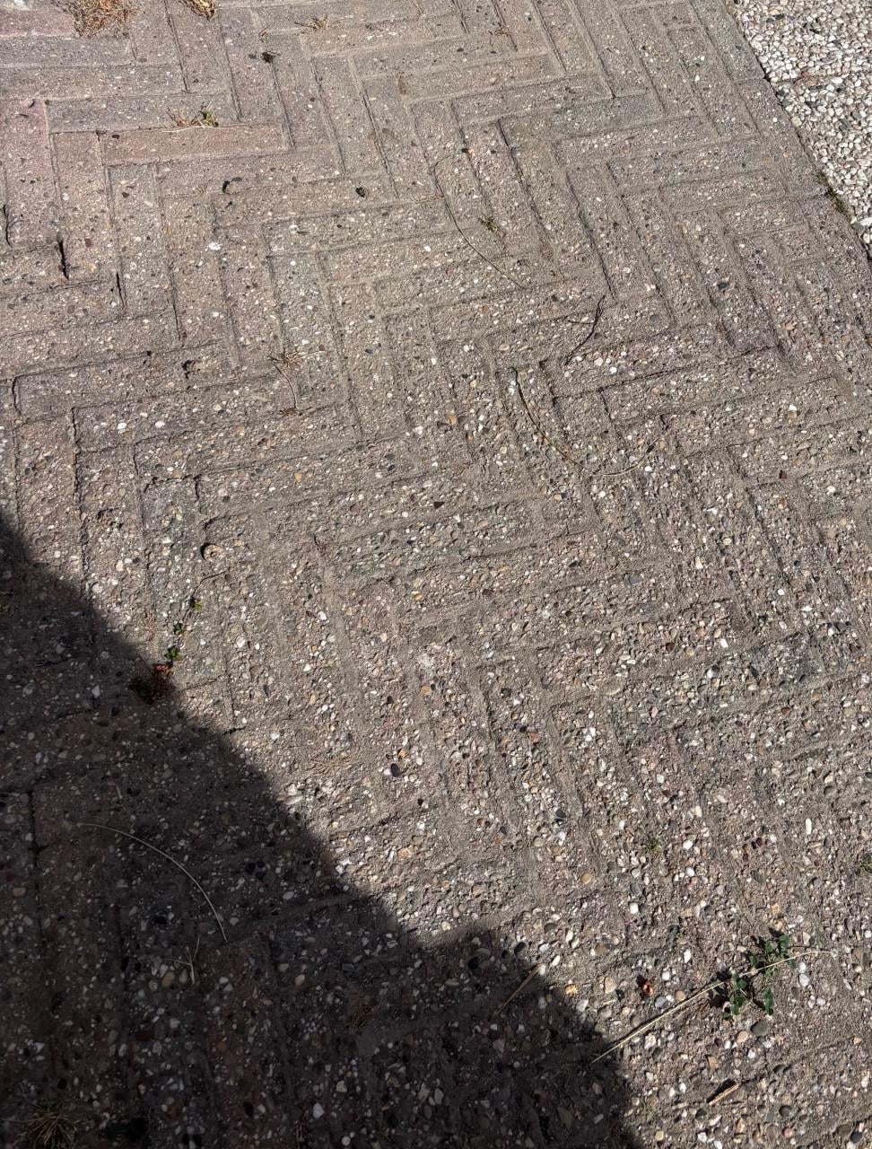 Sierbestrating gratis 65m2