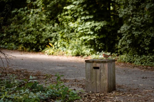 Vakantie- of Weekendhulp in de tuin gezocht