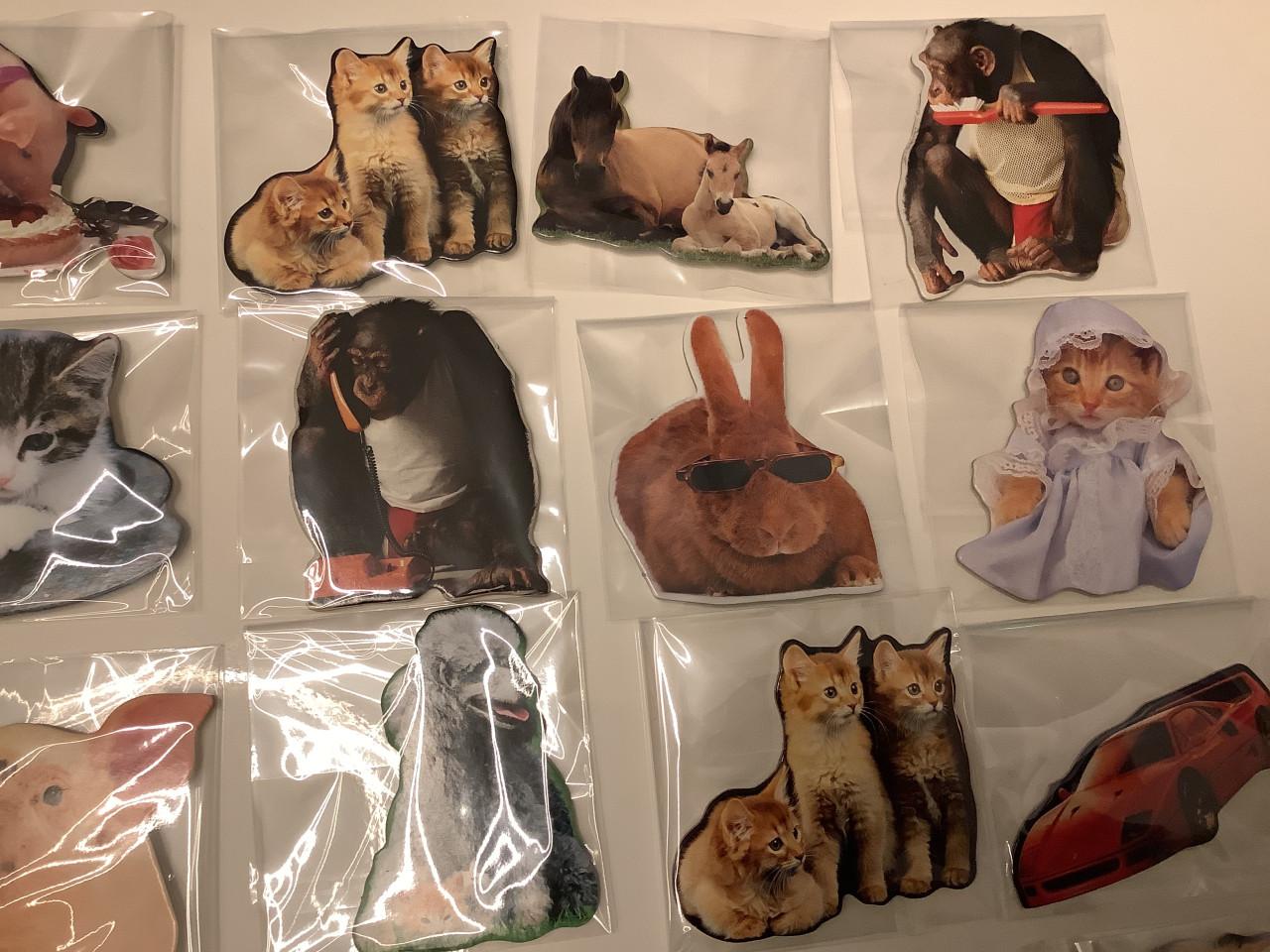 Partij super leuke magneetjes. ( partij 22)