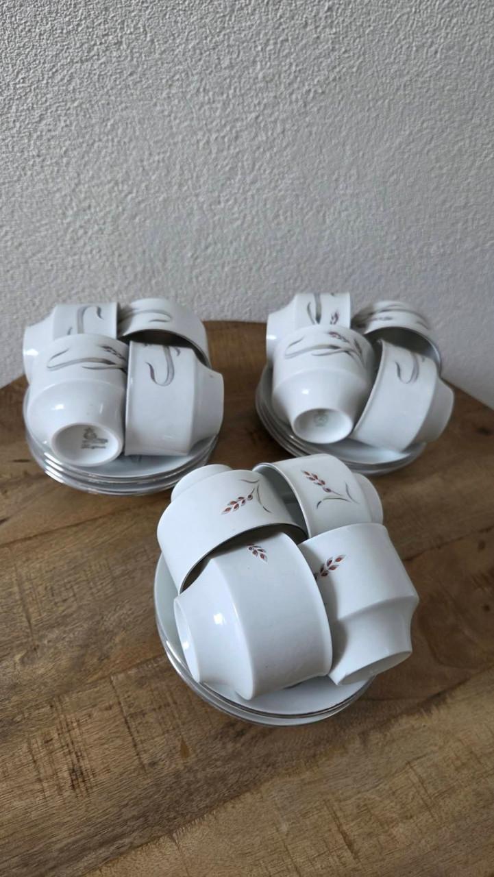 🌿 Vintage wit porseleinen Servies GH Bavaria (Gebrüder Benedikt),