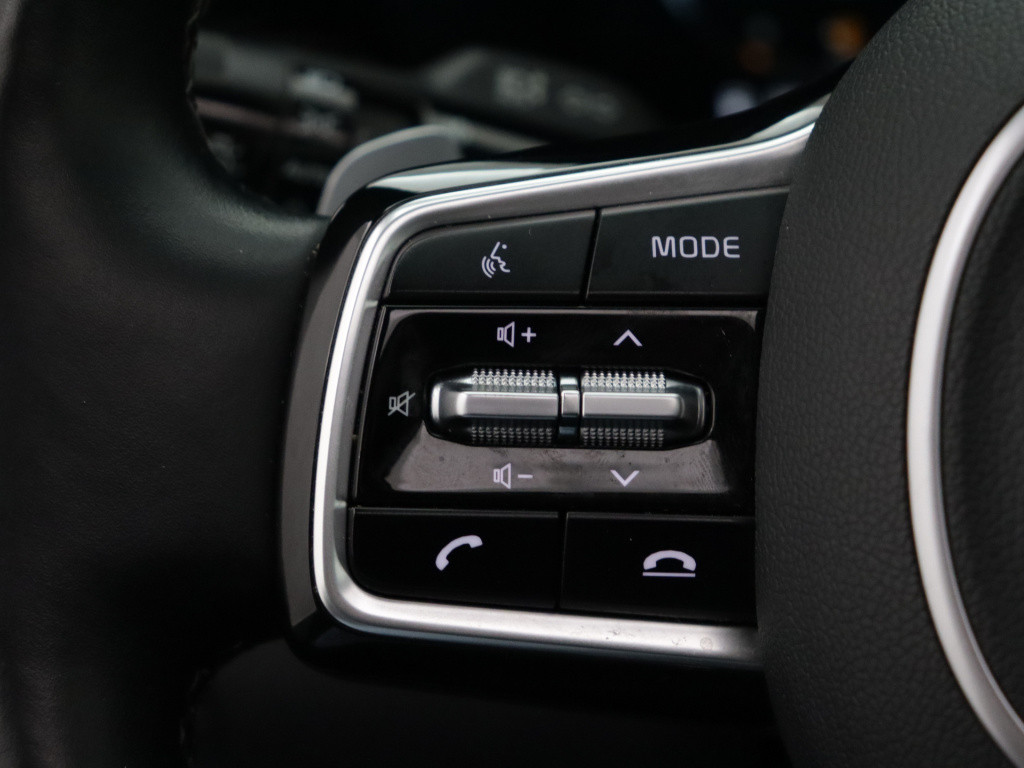 Kia Sorento 1.6 t-gdi hybrid 2wd executiveline 7p. | leder | trekhaak | nav