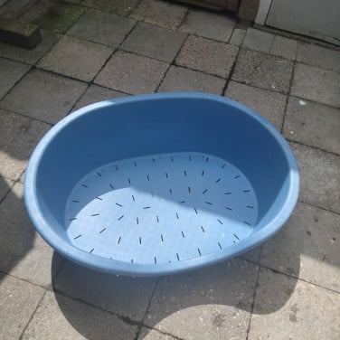 Hondenmand