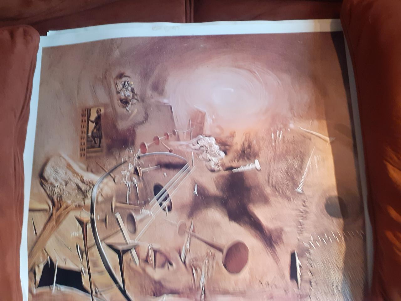 Leuk Schilderij " Oude Blauwe Deur " van Jopie Huisman. & Salvador Dali