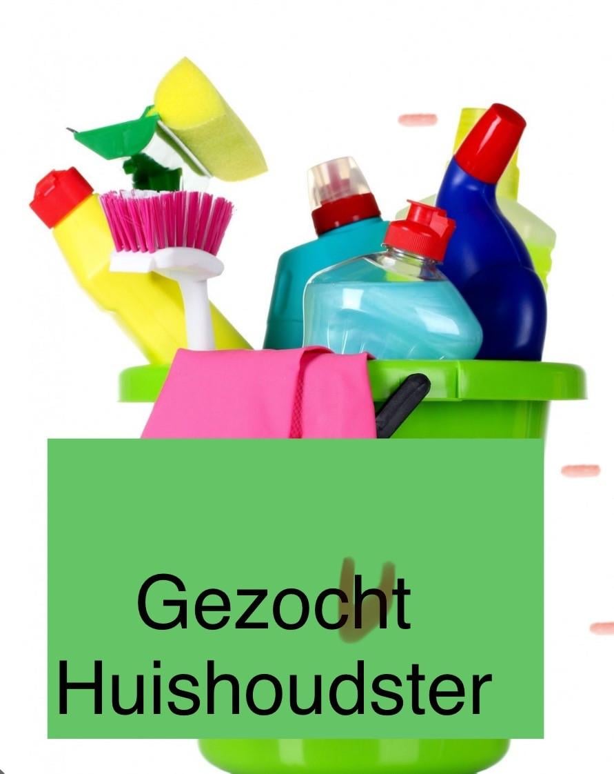 Huishoudster gezocht (Goes)
