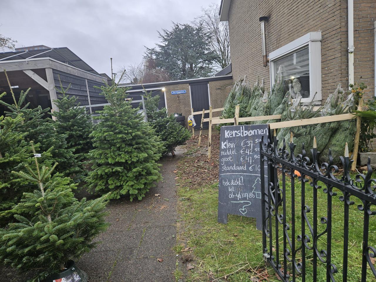1ste kwaliteit nordmann kerstbomen