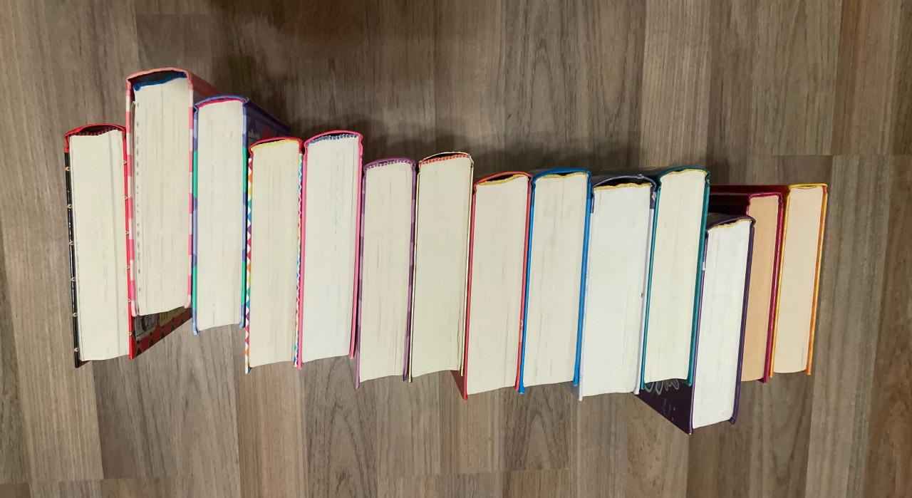 14 boeken Dagboek van een muts / Rachel Renée Russell